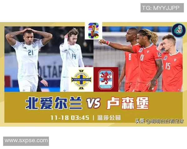 006荷兰对阵北爱尔兰精彩回顾与赛后分析