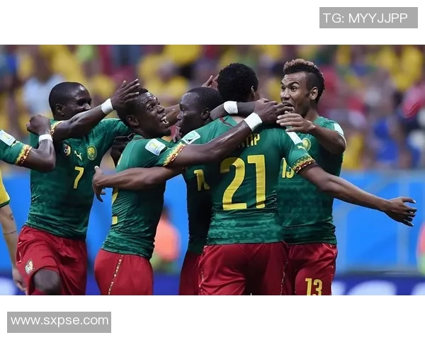 赞比亚对阵尼日利亚精彩直播全程回顾与分析