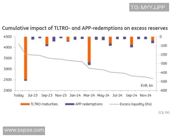 布鲁日与欧本对决前瞻分析及双方近期状态评估
