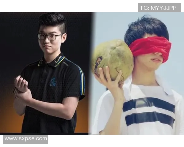 独家深度解析IG耐力对比及其在市场中的影响力