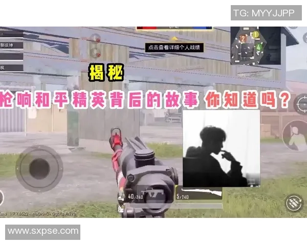 揭秘和平精英成功背后的故事与杨伟的独特见解MBA