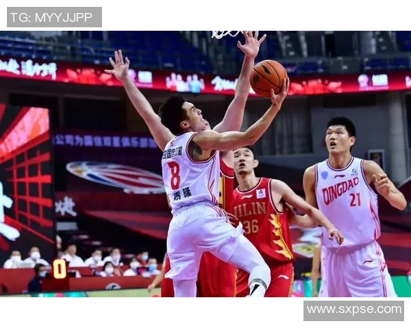 赵泰隆：从篮球新星到职业生涯巅峰的奋斗历程与心路历程探讨