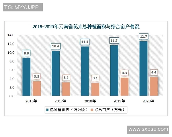 南京篮球队耐力表现数据分析与比赛策略优化研究 南京篮球队耐力表现数据分析与比赛策略优化研究