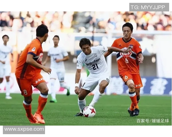 大宫松鼠迎战金泽赛维争夺联赛积分巅峰对决即将上演 大宫松鼠迎战金泽赛维争夺联赛积分巅峰对决即将上演