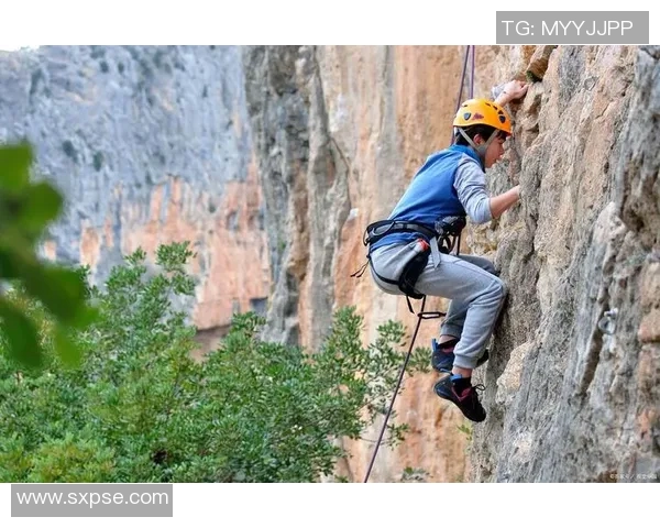成都攀岩队战术探讨与训练策略的深度分析与分享MBA