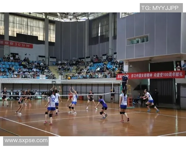 重庆排球队速度表现深度分析与数据解读探索